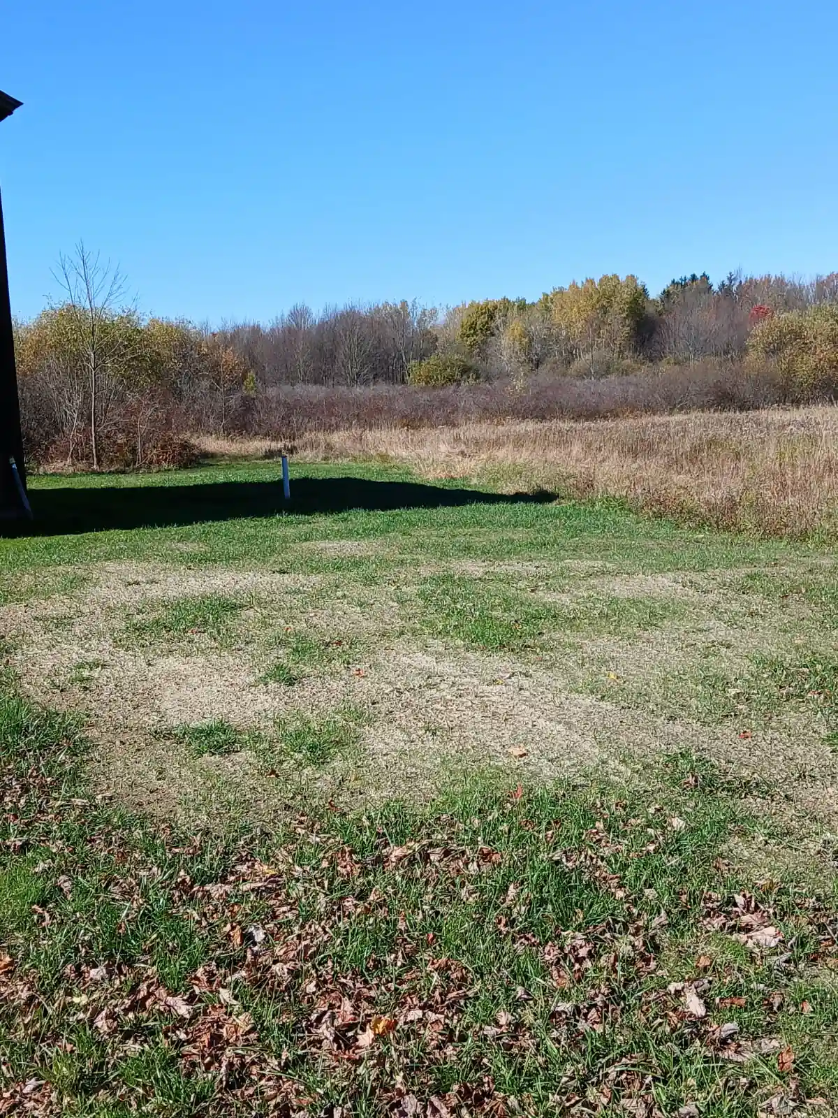 Before: raw, overgrown property before any clearing or site work