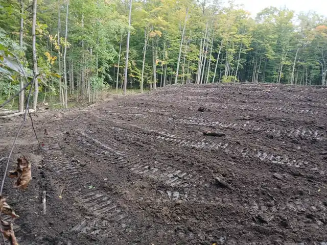 Freshly cleared and graded building lot with excavator track marks in the soil, Chautauqua County NY