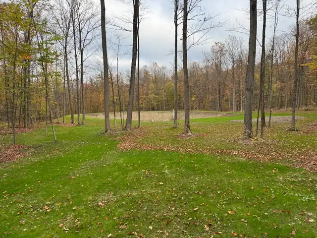Selectively cleared woodland lot with mature trees left standing